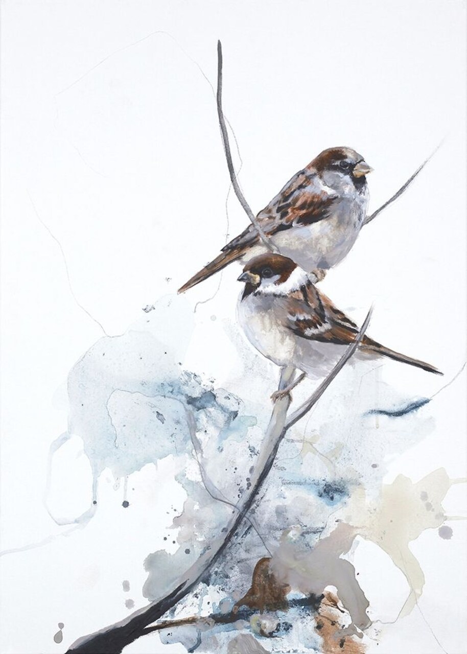 Curiosity 1 Poster Print by Design Fabrikken Design Fabrikken # MF9691546